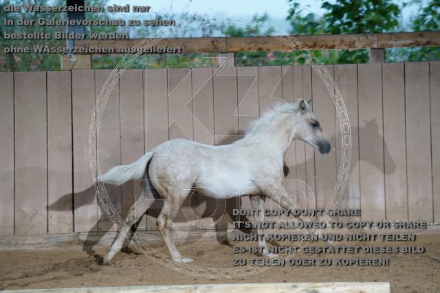 s_K3F04873.JPG